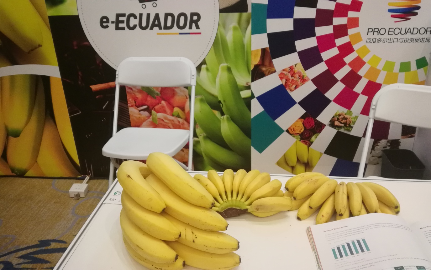 Chinese Market Warms to Ecuadorian Bananas, Export Volume Rising